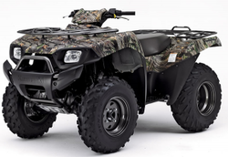 Picture of a Fourwheeler