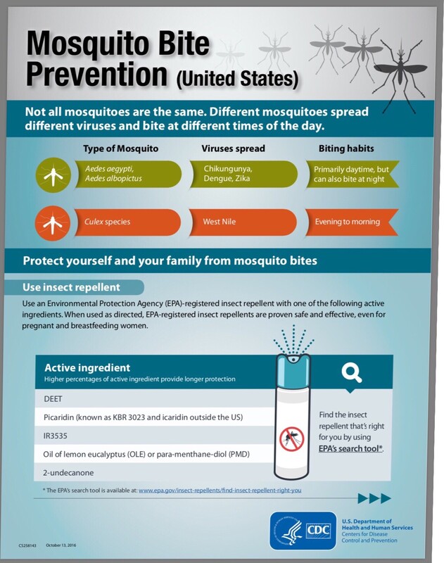 Mosquito Bite Prevention Guide